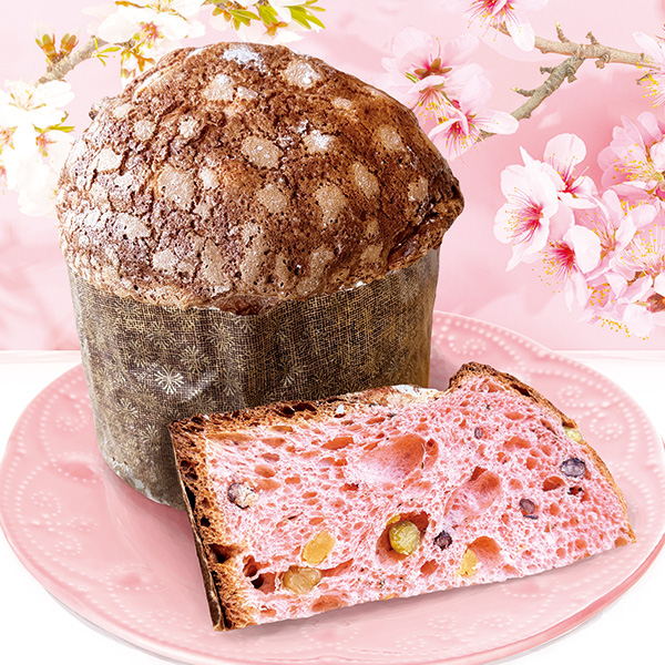 桜のベネチアーナ