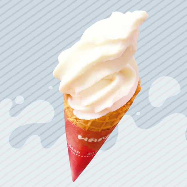 アルションソフト