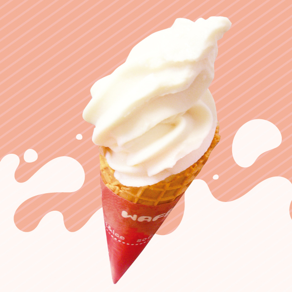 アルションソフト