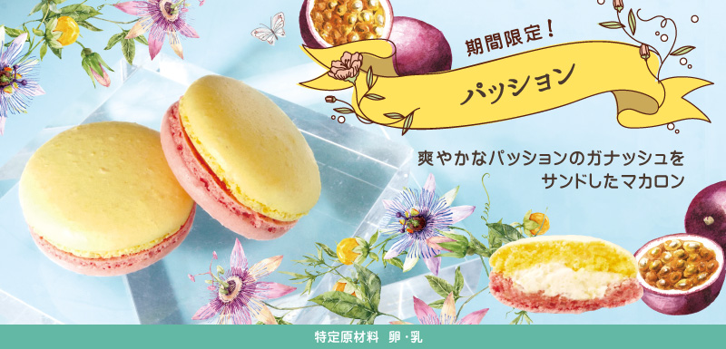 期間限定マカロン：パッション