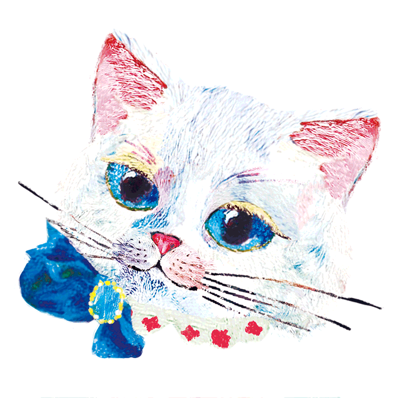 answer-cat