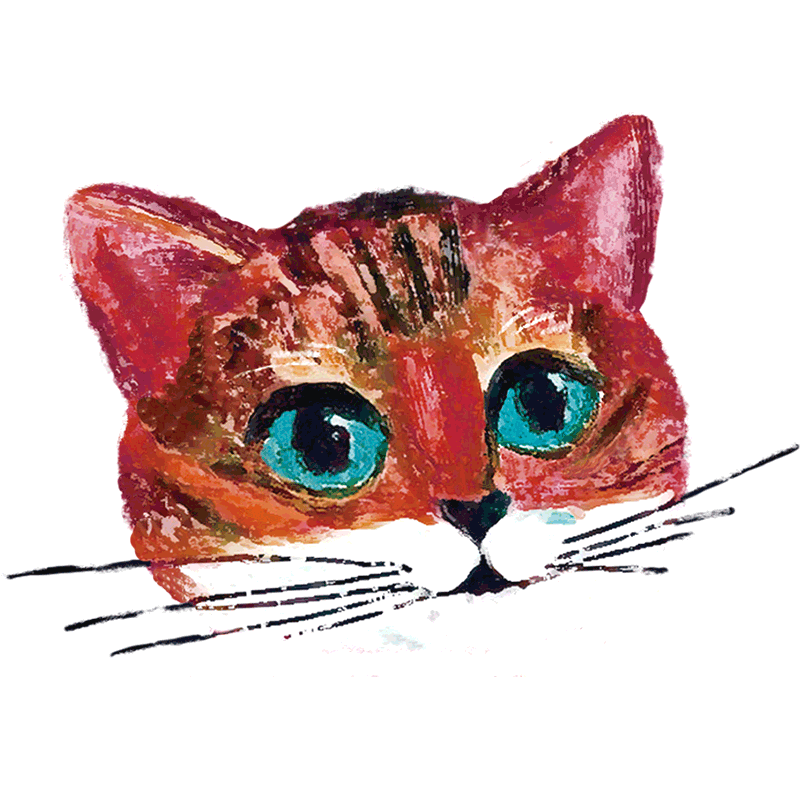 question-cat