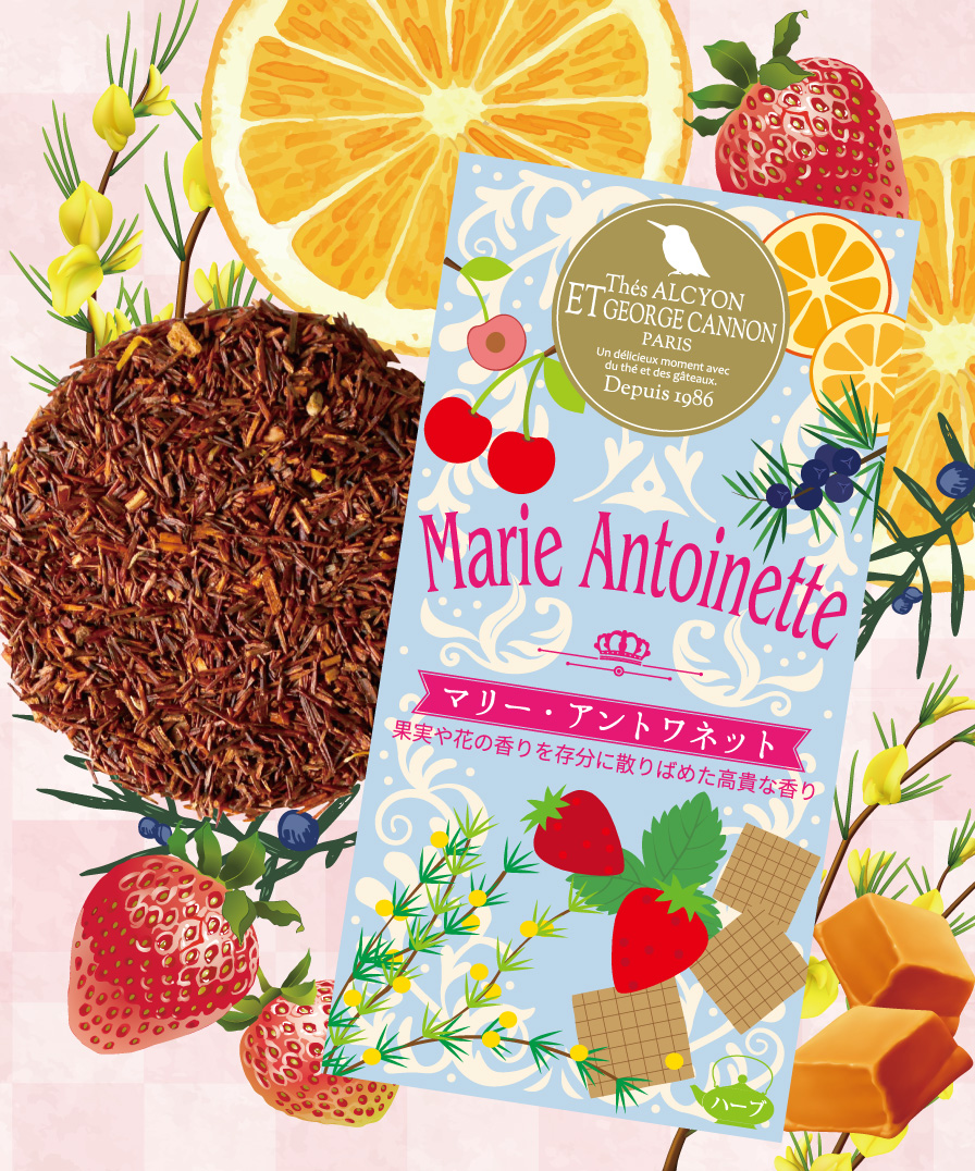 1月限定★マリー・アントワネット