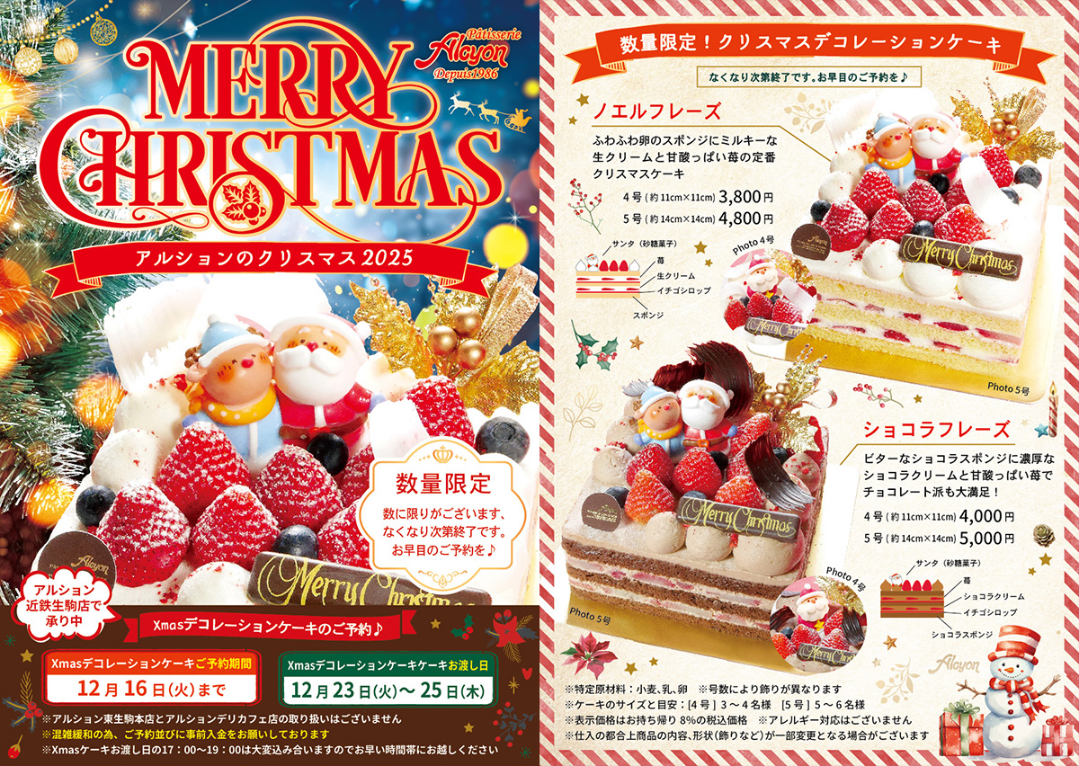 クリスマスデコレーションケーキ